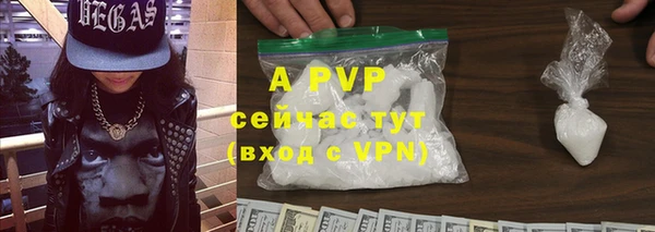 ECSTASY Медногорск