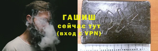 ECSTASY Медногорск
