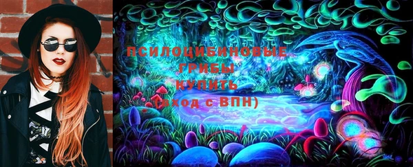 ECSTASY Медногорск