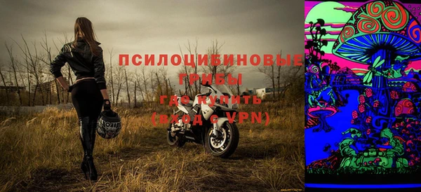 ECSTASY Медногорск