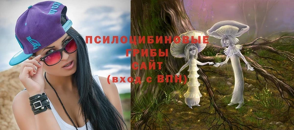 ECSTASY Медногорск