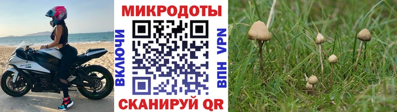 Галлюциногенные грибы GOLDEN TEACHER Апрелевка